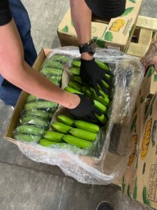 17b7e575-d371-4c06-9f41-702bc880988a