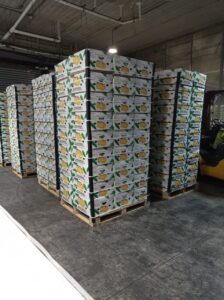 2302eac4-dd17-444b-8165-8a58e10e1cca