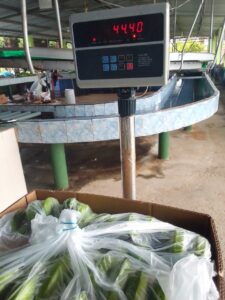 4985f322-64d6-4e37-84dd-f64b0dbaa0ab