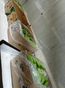 682c5e1c-fe59-4616-a704-2fea604d7a95