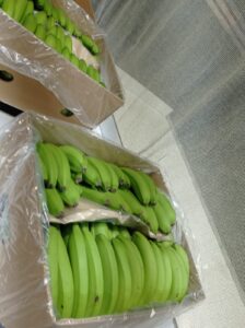 787bc0cd-b428-471f-9730-d28602c09551