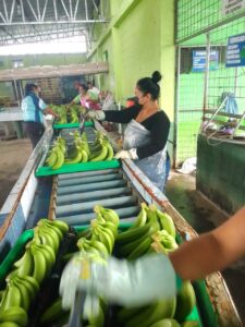 79cd993d-ade5-456a-bc25-e0cb78a127c3