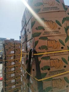 888dda47-e210-4db3-94cd-25f59c67745a