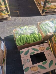 926ab328-7ba8-439f-af94-08a85fee39c0