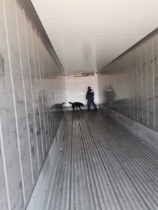 a44ff9b6-48fc-4a2e-8228-c70e2227a3de