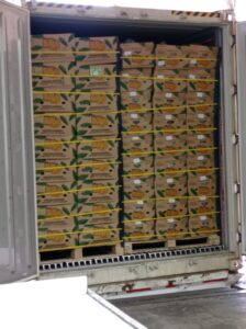 c9d2546c-7850-4363-a12f-54fbb41968c4