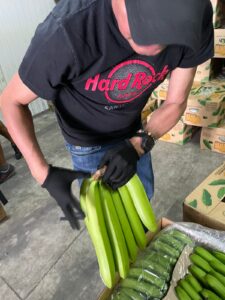 d7738a05-317e-40a4-b593-262b1bd72202