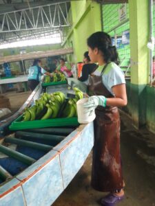 d7faa888-60c9-4542-8be1-aea5d8152493