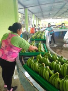 d846b757-1bb2-404b-9f58-8f417d860e0d