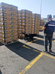 deca85bc-2d4b-4863-b79b-9aa33731d72f