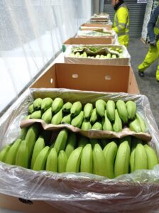 e85fb760-b72c-4846-83d2-7fd76c35fa9f