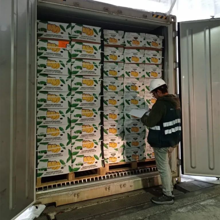 Importación de plátanos desde Ecuador.