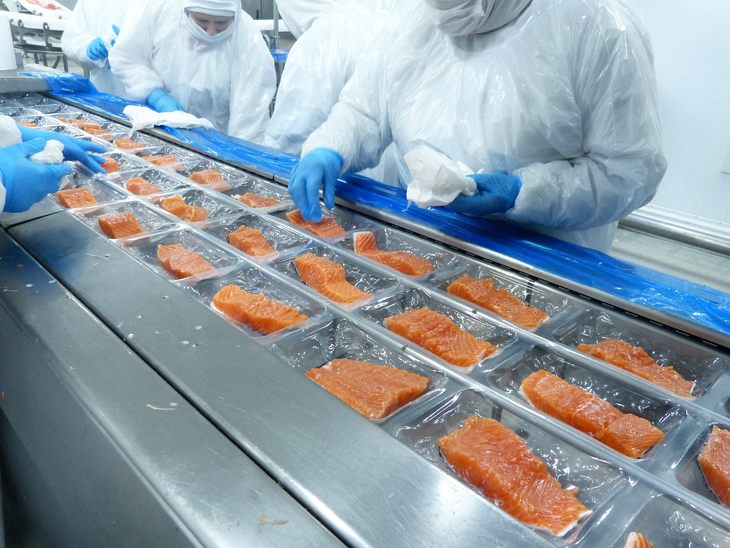 Exportación de salmón chileno