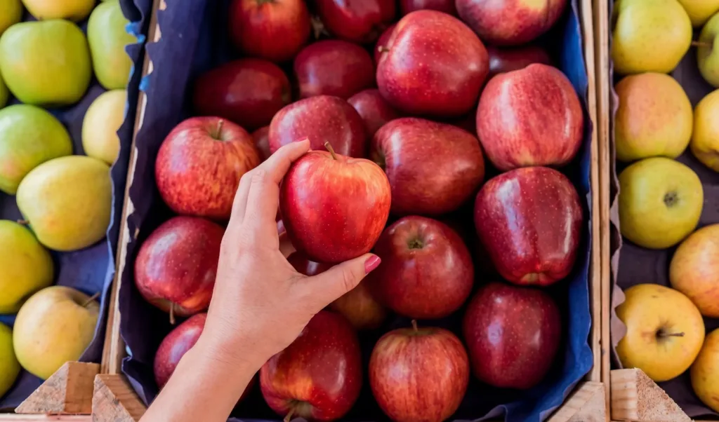 Peak de Exportación Manzana Gala 2026: 246 Mil Toneladas | Komex