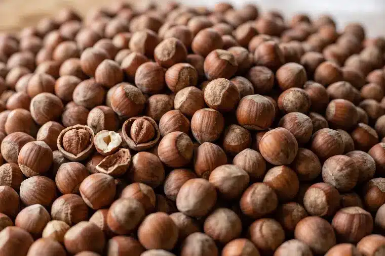 Las avellanas se toman la fruticultura: crecen 135% mientras la fruta fresca pierde terreno