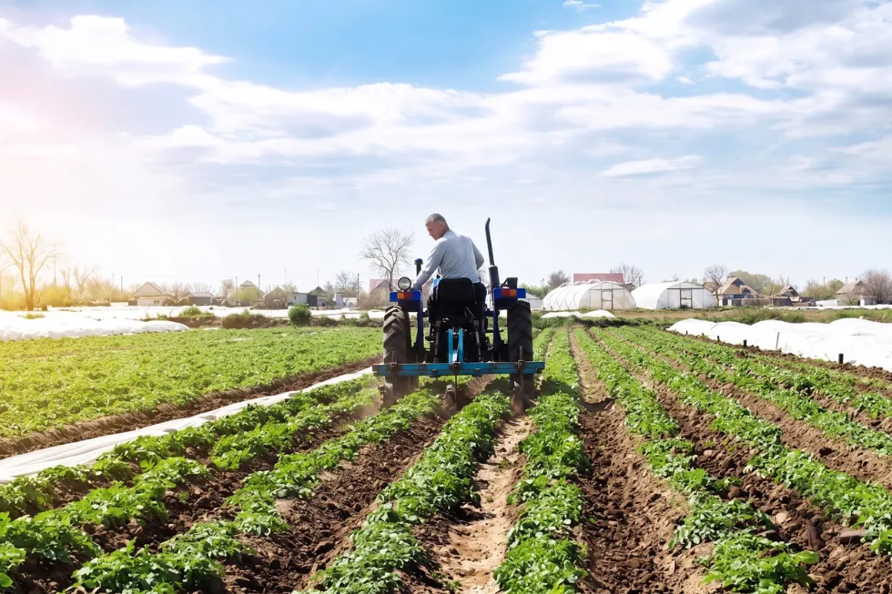 ProChile abre la billetera: $2.000 millones para que el agro chileno salga a vender afuera